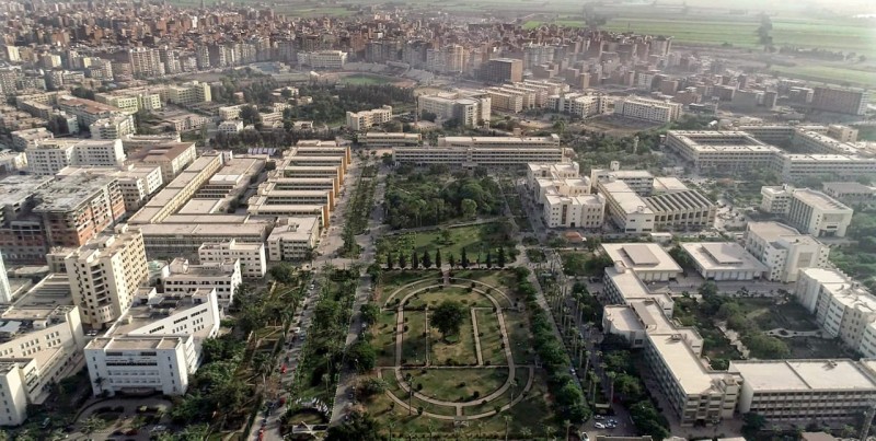 جامعة المنصورة تُطلق الدورة الثالثة من جوائز التميز الداخلية لعام 2025