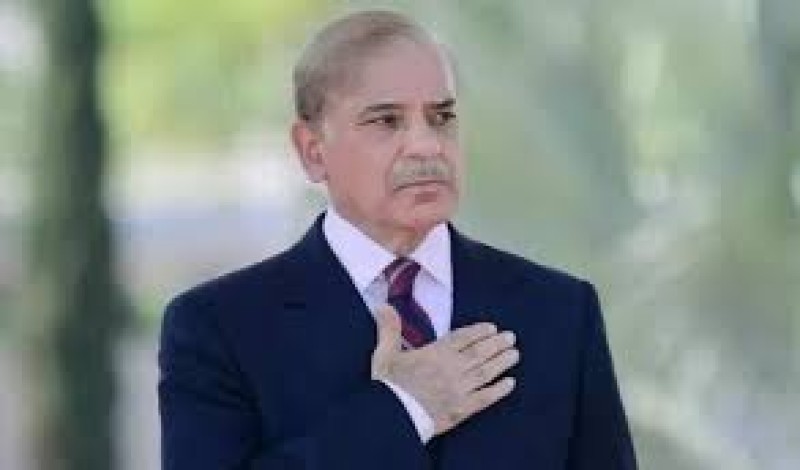 شكر باكستاني لمصر على جهود التهدئة بين الهند وباكستان