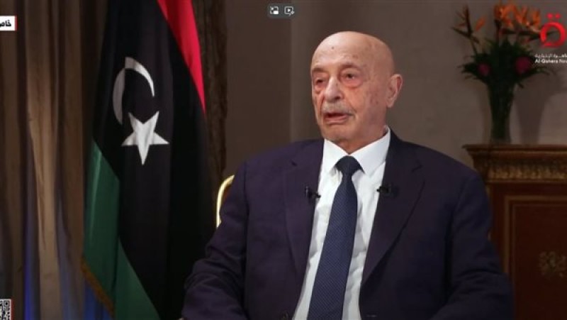مصر تؤكد على ضرورة الحد من التدخلات الخارجية في ليبيا