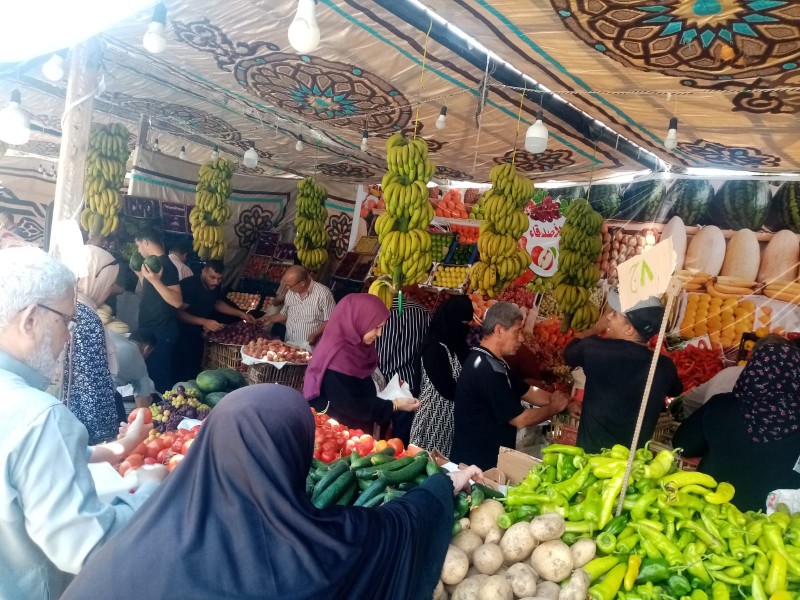 ولا يزال هناك استمرار لإنطلاق وإقامة أسواق اليوم الواحد الجمعة والسبت كل أسبوع بمدينة المنصورة