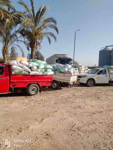 توريد 261 ألف طن قمح لشون وصوامع البحيرة