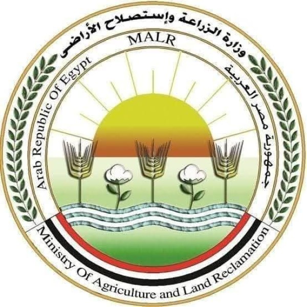 ”الزراعة” تنفي بيع المبنى القديم للوزارة لمستثمر خليجى