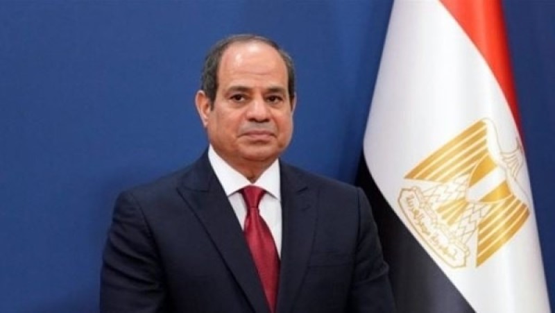 الرئيس يستقبل مدير الوكالة الدولية للطاقة الذرية