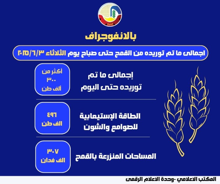 انفوجراف