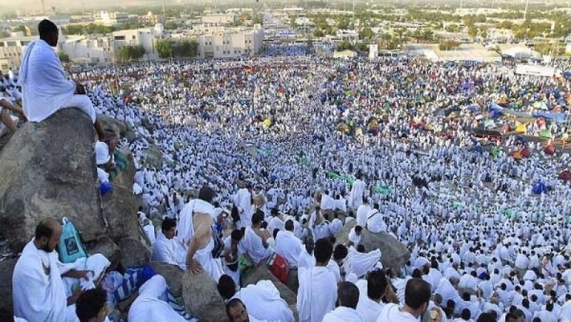 أمين الفتوى: الوقوف على عرفة تذكير بالعرض أمام الله في يوم الحساب