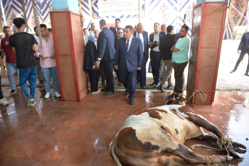 محافظ الدقهلية يشهد ذبح الأضاحي بمجزر طنامل مركز أجا لتوزيعها على الأسر الأولى بالرعاية