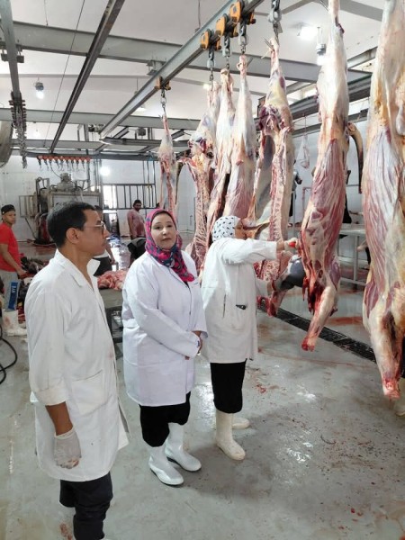 20 ألف أضحية بالمجان: نجاح كبير للمجازر الحكومية في عيد الأضحى ” صور ”