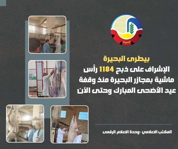 مديرية الطب البيطري بالبحيرة تشرف على ذبح 1184 ذبيحة خلال عيد الأضحى