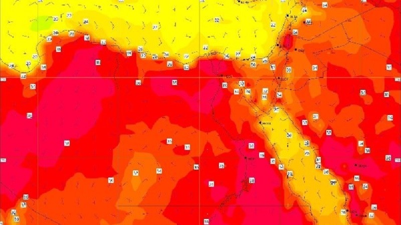 تحذير عاجل من الأرصاد: شبورة مائية كثيفة صباحًا ونشاط للرياح
