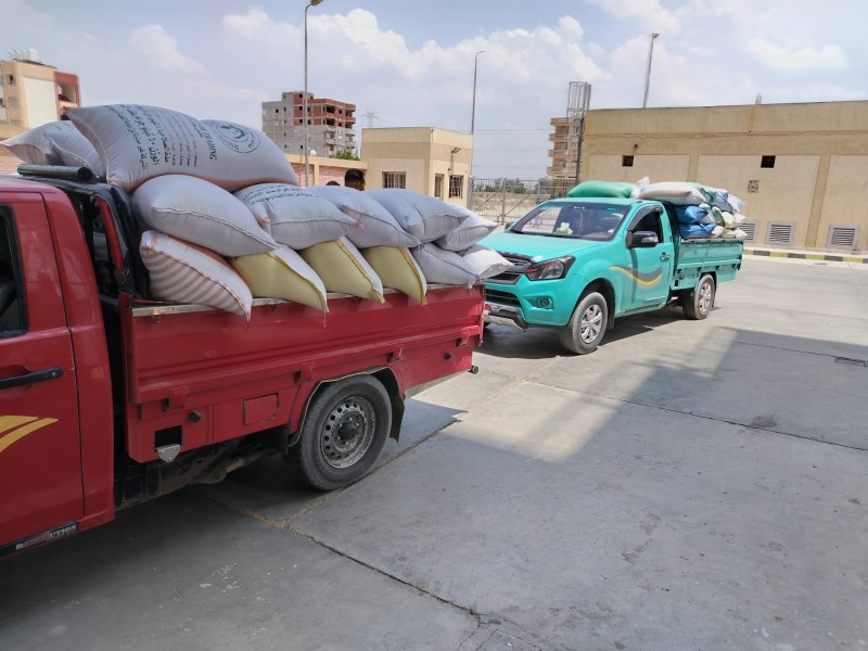 توريد أكثر من 310  ألف طن قمح لشون وصوامع البحيرة