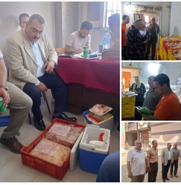 دمياط: حملات تضبط ٥ طن ونصف مجزءات دواجن متغيرة الخواص بإحدى المجازر بالزرقا
