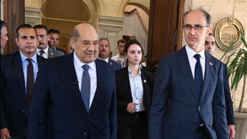 مصر بوابة صربيا للانفتاح على أفريقيا: تعزيز العلاقات الثنائية