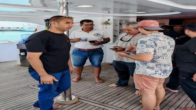 استئناف برنامج رصد أسماك القرش بالأقمار الصناعية بالبحر الأحمر