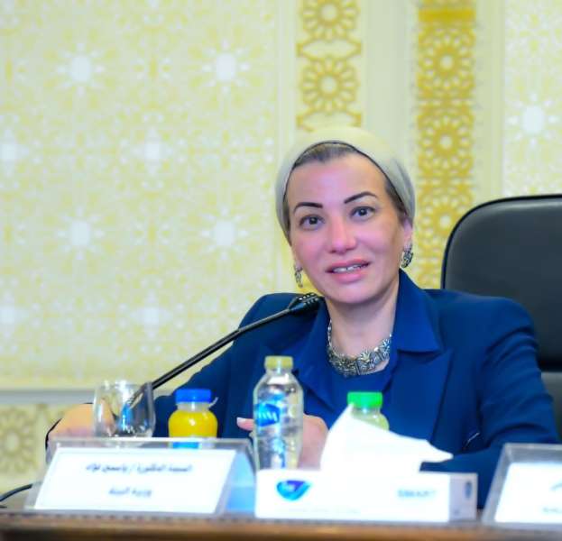 وزيرة البيئة تستعرض جهود مصر لمُواجهة تغير المناخ والتصحر في إفريقيا أمام ”شئون النواب الإفريقية”