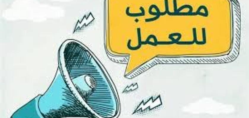 الوظائف الخالية في دمياط: كيفية التقدم والشروط