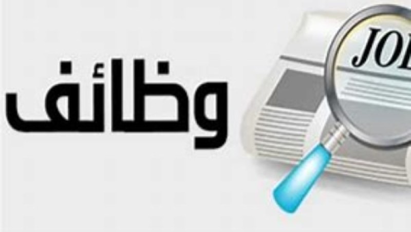 وزارة البترول تحذر: إعلانات التوظيف المنتشرة على مواقع التواصل وهمية
