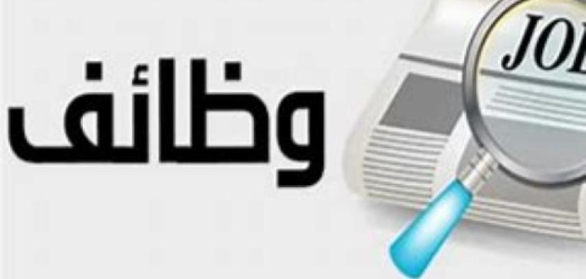 وزارة البترول تحذر: إعلانات التوظيف المنتشرة على مواقع التواصل وهمية
