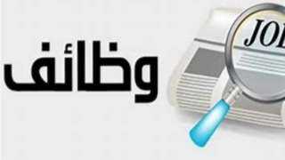 وزارة البترول تحذر: إعلانات التوظيف المنتشرة على مواقع التواصل وهمية
