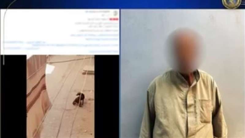 الداخلية تضبط مرتكب واقعة التعدي على كلب ضال بأسيوط