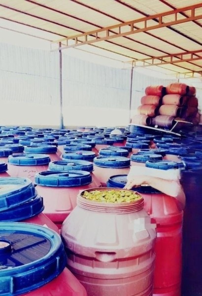 ضبط مواد غذائية مجهولة المصدر في مصنع مخللات بدون ترخيص
