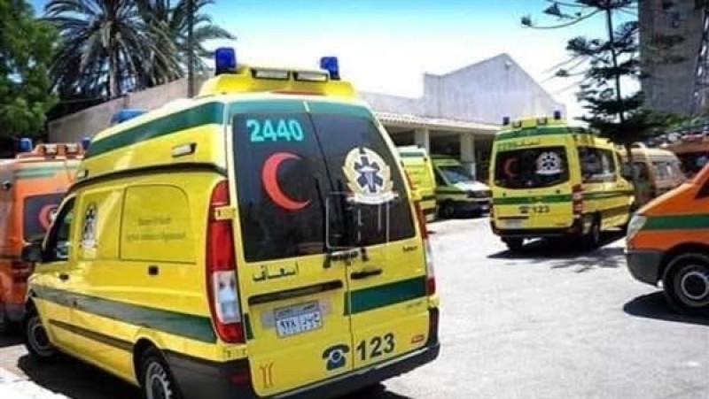 22 مصابًا في حادث انقلاب ميكروباص على طريق القاهرة - أسيوط