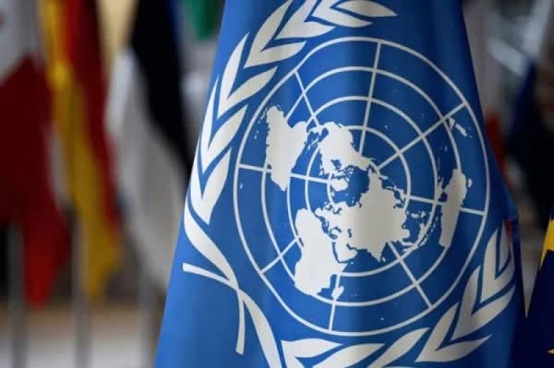 الأمم المتحدة: مقـتل 288 شخص أثناء محاولتهم الحصول على مساعدات غذائية في غزة
