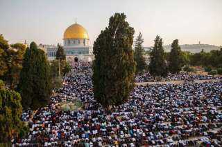 قوات الاحتلال تعتقل مفتي القدس وفلسطين من المسجد الأقصى