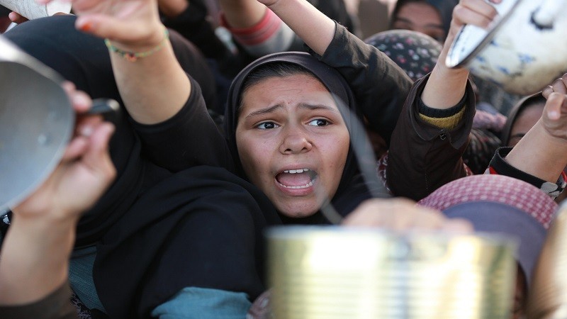 ألمانيا والأردن ينسقان لاحتواء الوضع الإنساني في غزة وإنزال المساعدات جوا