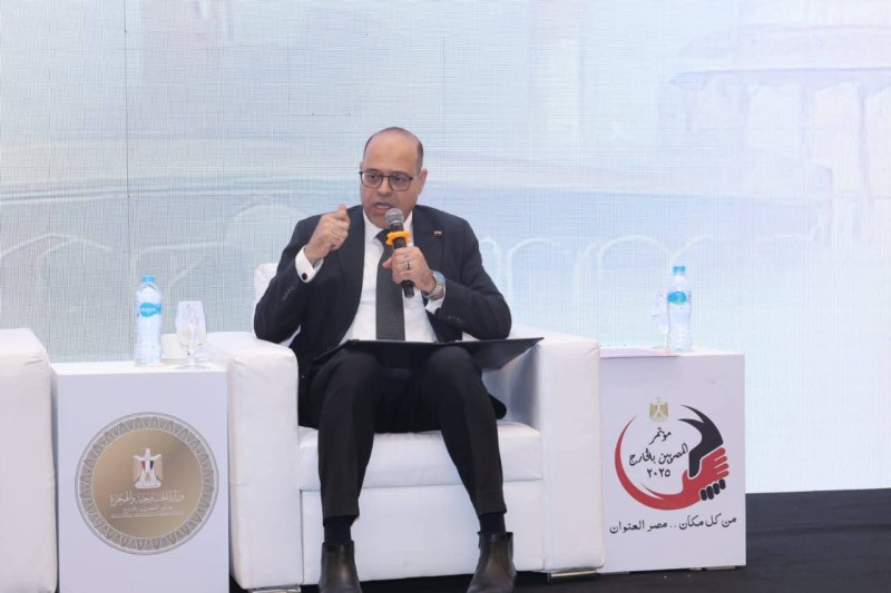 وزير العمل أمام ”مؤتمر المصريين بالخارج”:حريصون على مواجهة كافة مشاكل العمال المصريين بالخارج