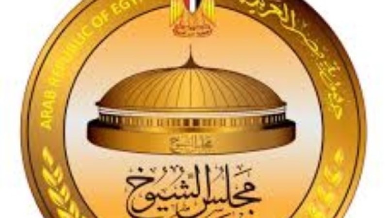 قبل انطلاقها غدًا.. 500 جنيه غرامة للمتخلفين عن التصويت في الانتخابات