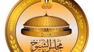 قبل انطلاقها غدًا.. 500 جنيه غرامة للمتخلفين عن التصويت في الانتخابات