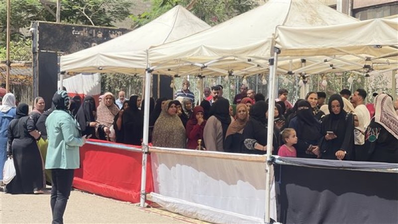 لجنة انتخابات مجلس الشيوخ