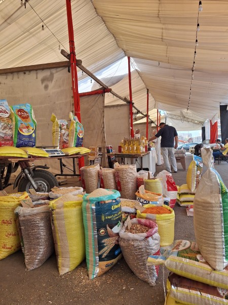 سوق اليوم الواحد بالدقهلية يواصل عروضه المخفضة حتى 30% لدعم المواطنين ومحاربة الغلاء