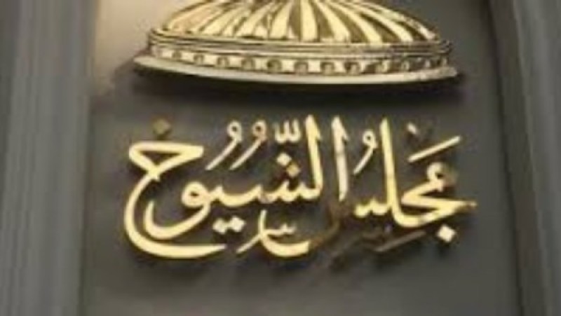 27 و28 أغسطس.. بدء جولة الإعادة بانتخابات مجلس الشيوخ داخل مصر