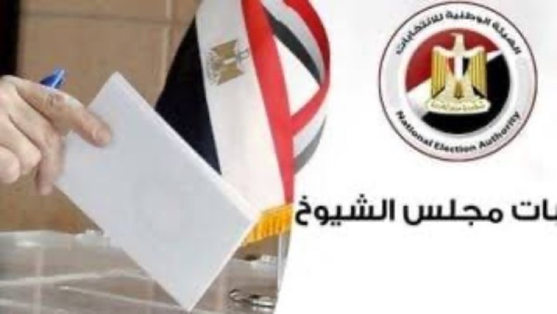 25 و26 أغسطس.. بدء جولة الإعادة بانتخابات مجلس الشيوخ خارج مصر
