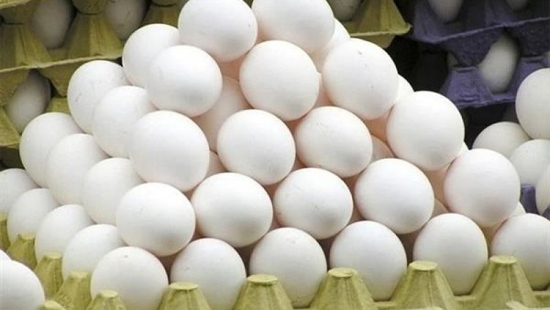 تحرك مفاجئ في أسعار البيض بالأسواق
