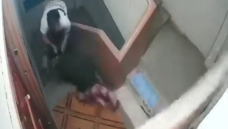 مصدر أمني بالشرقية: فحص فيديو سحل سيدة هرية رزنة لضبط المتهم