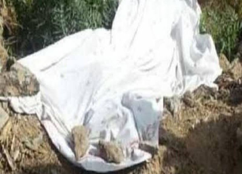 امن الدقهلية يحل لغز العثور على أربعينية مصابة بـ 30 طعنة متفرقة وملقاة وسط الزراعات