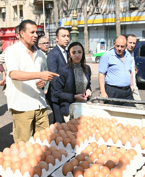 توفير 12سيارة محملة  بـ1000 طبق بيض مائدة قبل انطلاقها لتغطية عدة مراكز بالبحيرة