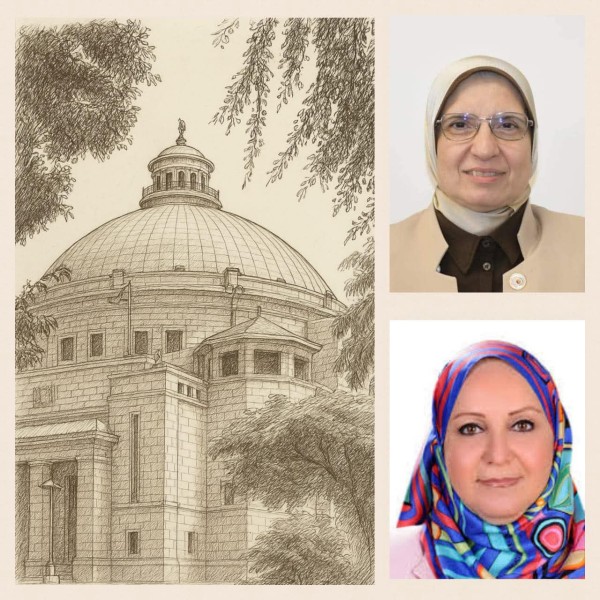 كلية الاقتصاد والعلوم السياسية بجامعة القاهرة تنظم دورة تأهيلية للمتقدمين لاختبارات الملحق التجاري والمالي بوزارة الاستثمار