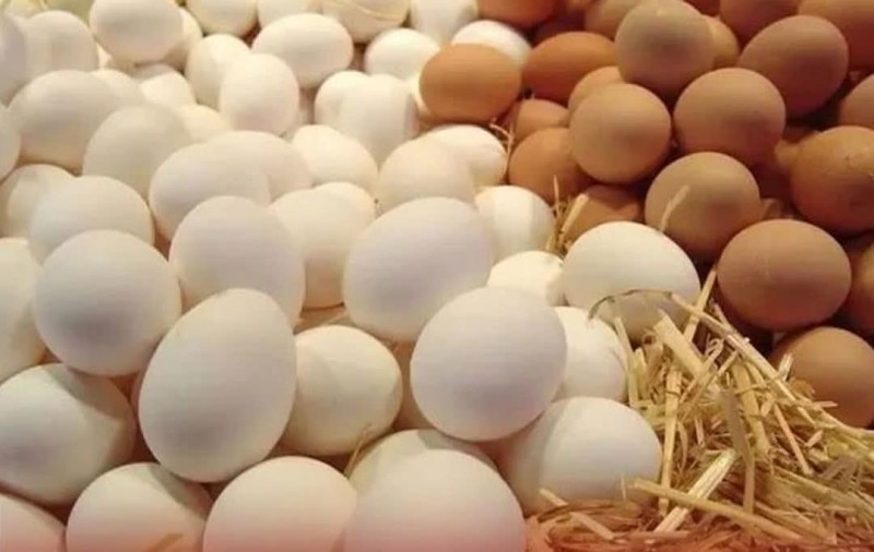 هل نغسل البيض قبل تخزينه في الثلاجة؟ خبيرة تغذية تحذر