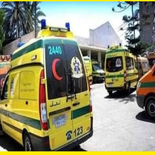 مصرع ٥ أشخاص وإصابة ١١ آخرين في انقلاب سيارة ميكروباص بالمنيا