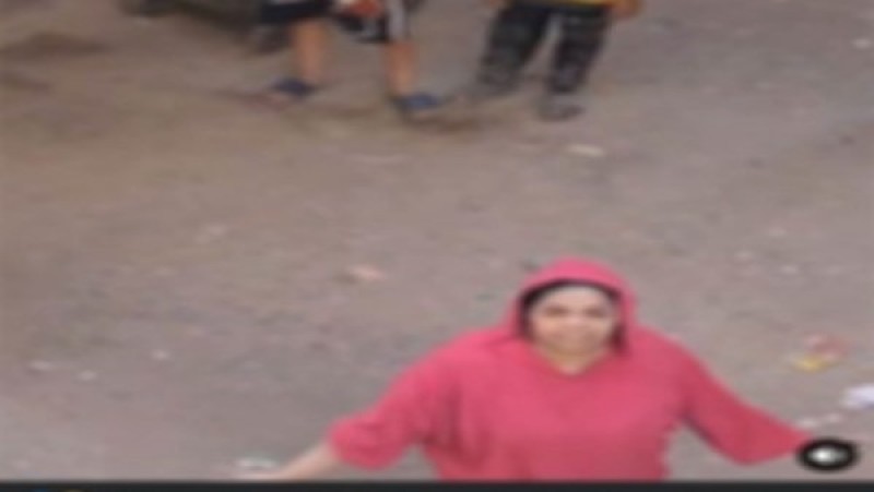 ميهمنيش الحكومة.. القبض على أبطال فيديو مشاجرة المرج
