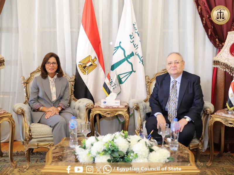 رئيس مجلس الدولة إستقبل المدير التنفيذي للأكاديمية الوطنية للتدريب