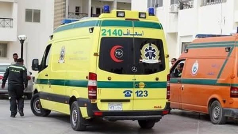 مصـرع وإصابة ٧ أشخاص إثر إنقلاب سيارة ميكروباص بالطريق الزراعى بأبو حمص بالبحيرة