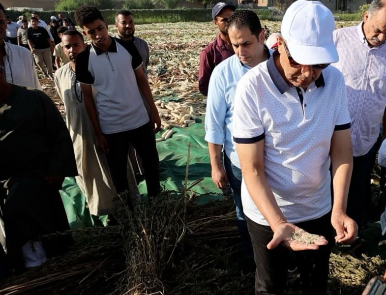 محافظ المنيا يشارك مزارعي قرية الشعراوية بسمالوط حصاد المحاصيل الصيفية