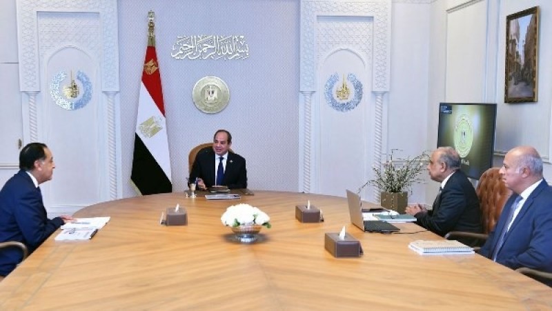 السيسي يوجه بتفعيل السياسات الهادفة لترسيخ دور مصر كمركز إقليمي للطاقة بشرق المتوسط