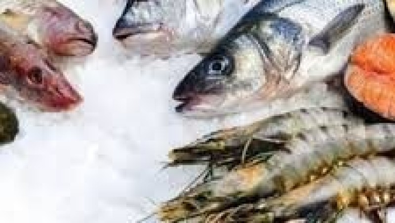 أسعار السمك في الأسواق اليوم