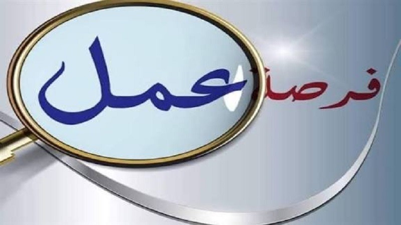 براتب 10 آلاف جنيه.. طريقة التقديم على وظائف السائقين