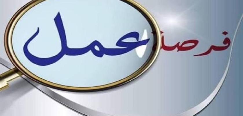 براتب 10 آلاف جنيه.. طريقة التقديم على وظائف السائقين